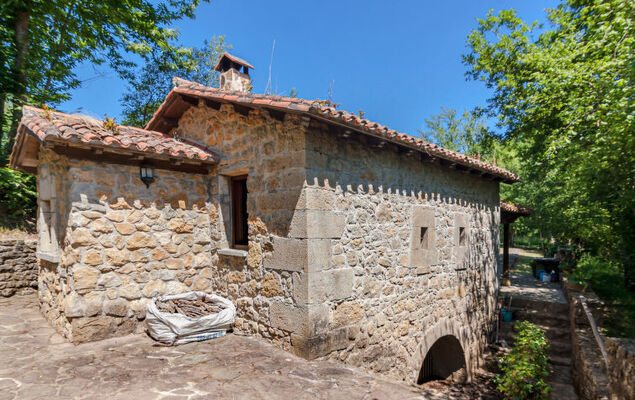 El Molino - Photo 16