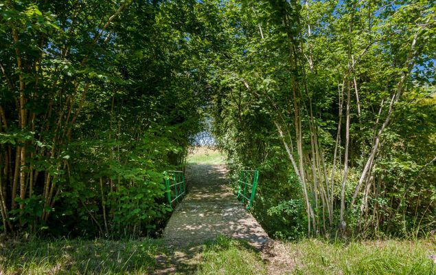 El Molino - Photo 17