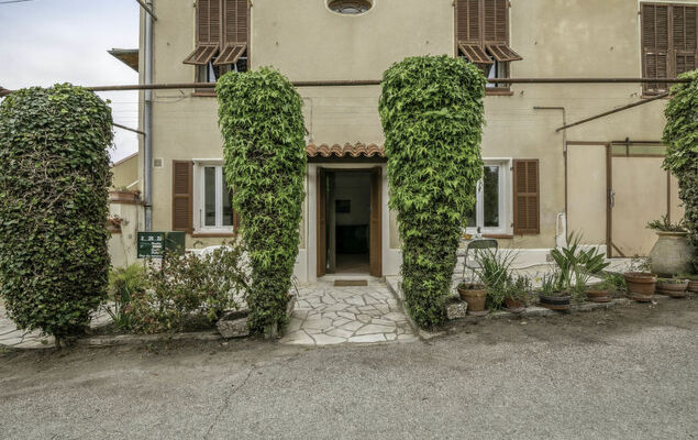 Le Narcisse - Photo 10