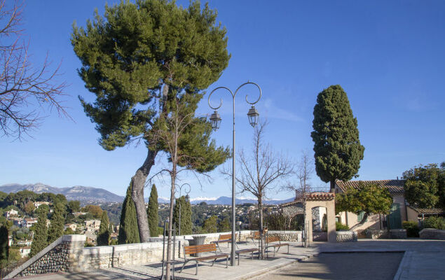 Le Narcisse - Photo 26