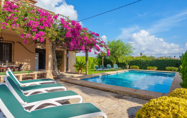 La Truyola Pool Finca - Photo 33