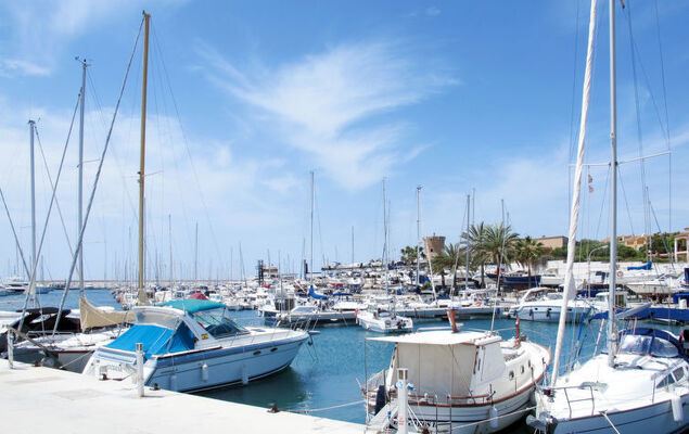 Villa Sa Rapita - Photo 25