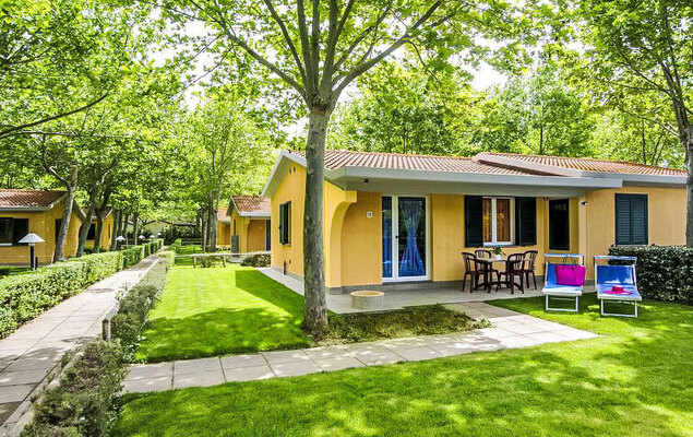 De Luxe Plus - Photo 1