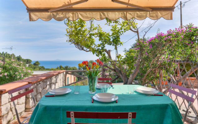 Sunny House - Photo 1