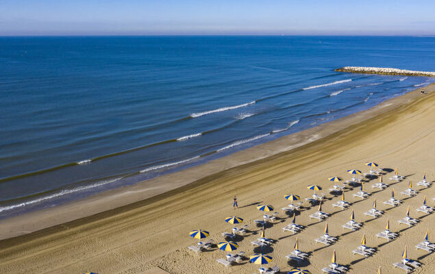 Green House - Photo 23