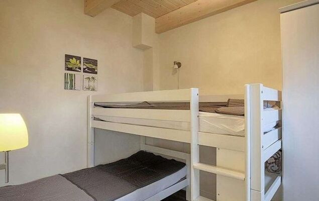 Lachmöwe - Photo 12