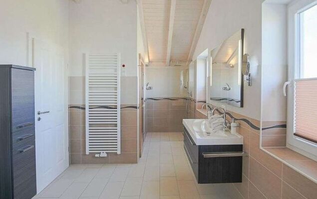 Lachmöwe - Photo 14