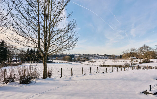Au bord du Lac 1 - Photo 19