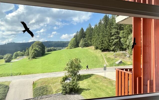 Schöne Aussicht (App 1406 / EX-Kurhotel) - Photo 12