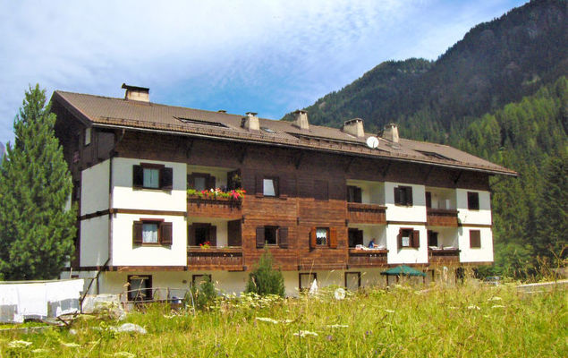 Cesa Palua - Photo 10